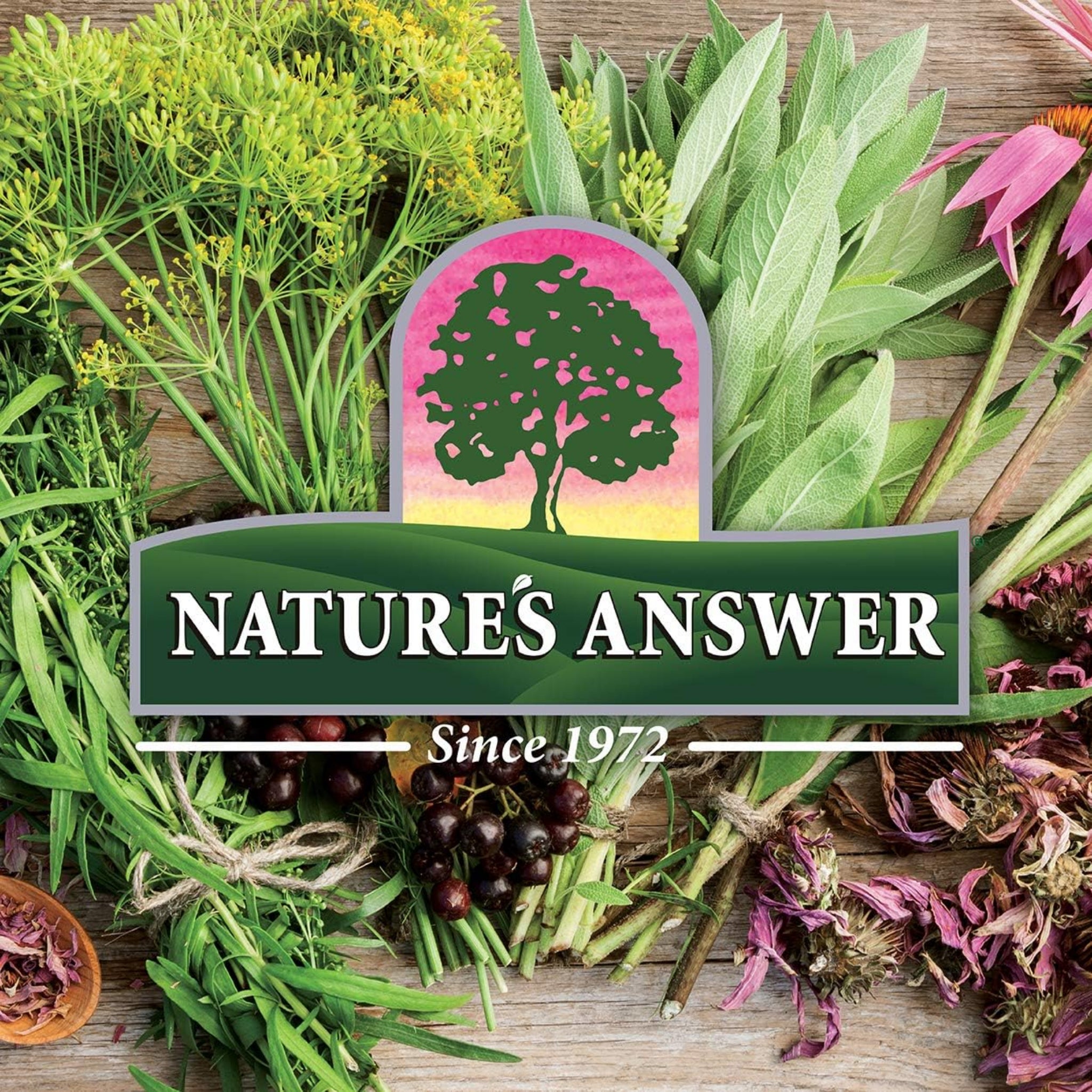 Nature's Answer Saw Palmetto Extrakt (30ml)