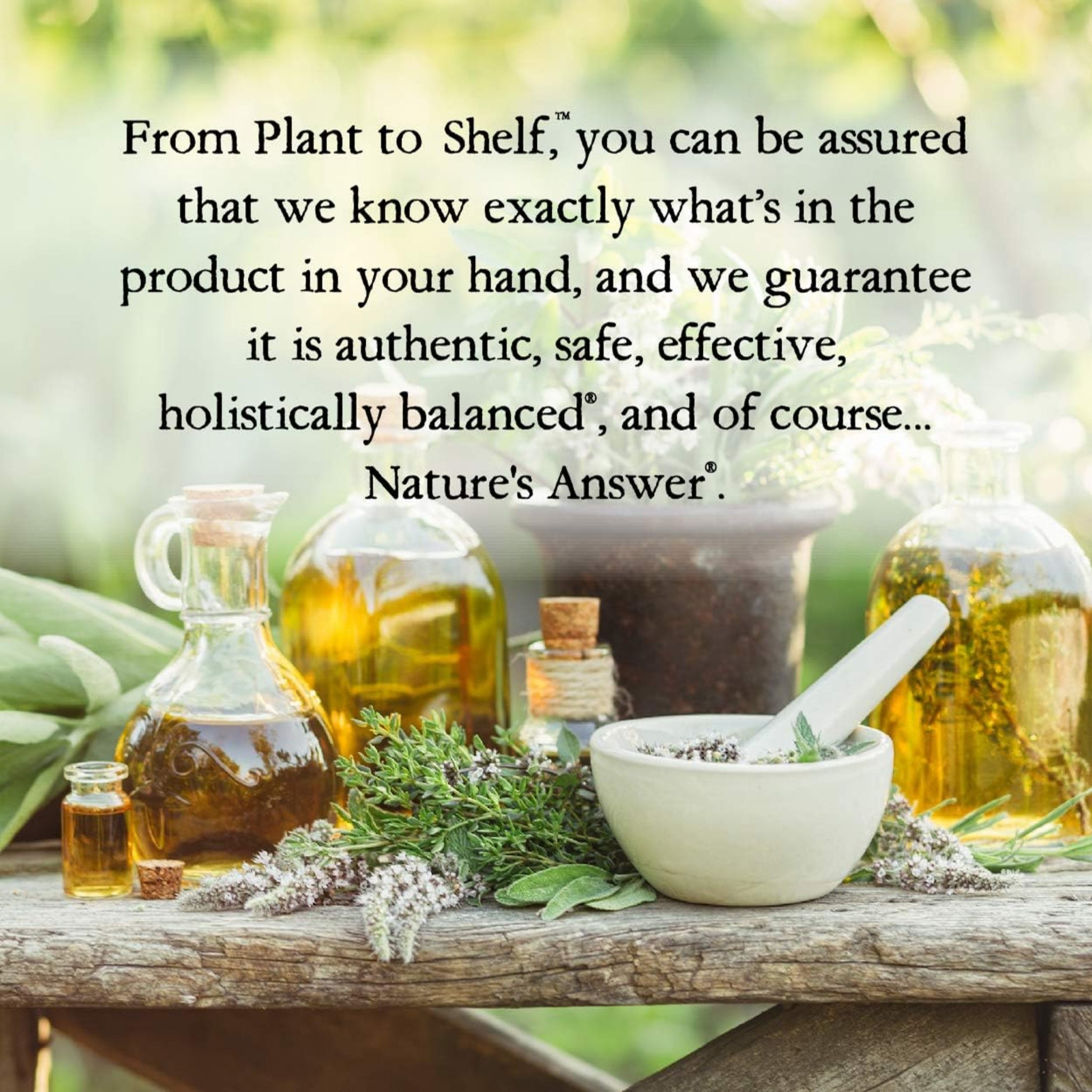 Nature's Answer Saw Palmetto Extrakt (30ml)