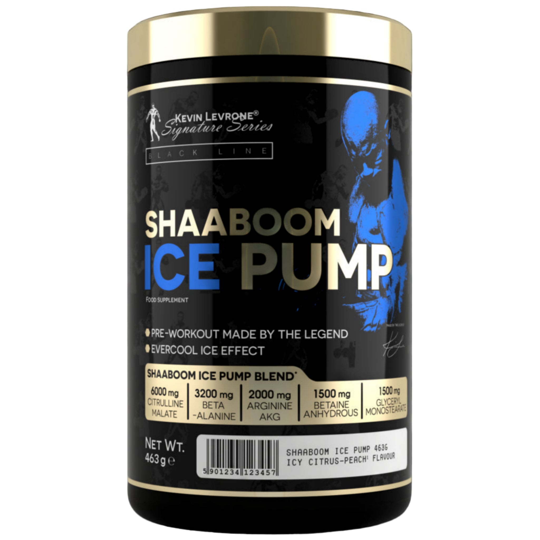 Kevin Levrone Shaaboom Ice Pump (463g)