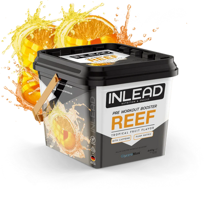 INLEAD Reef Booster (440g)